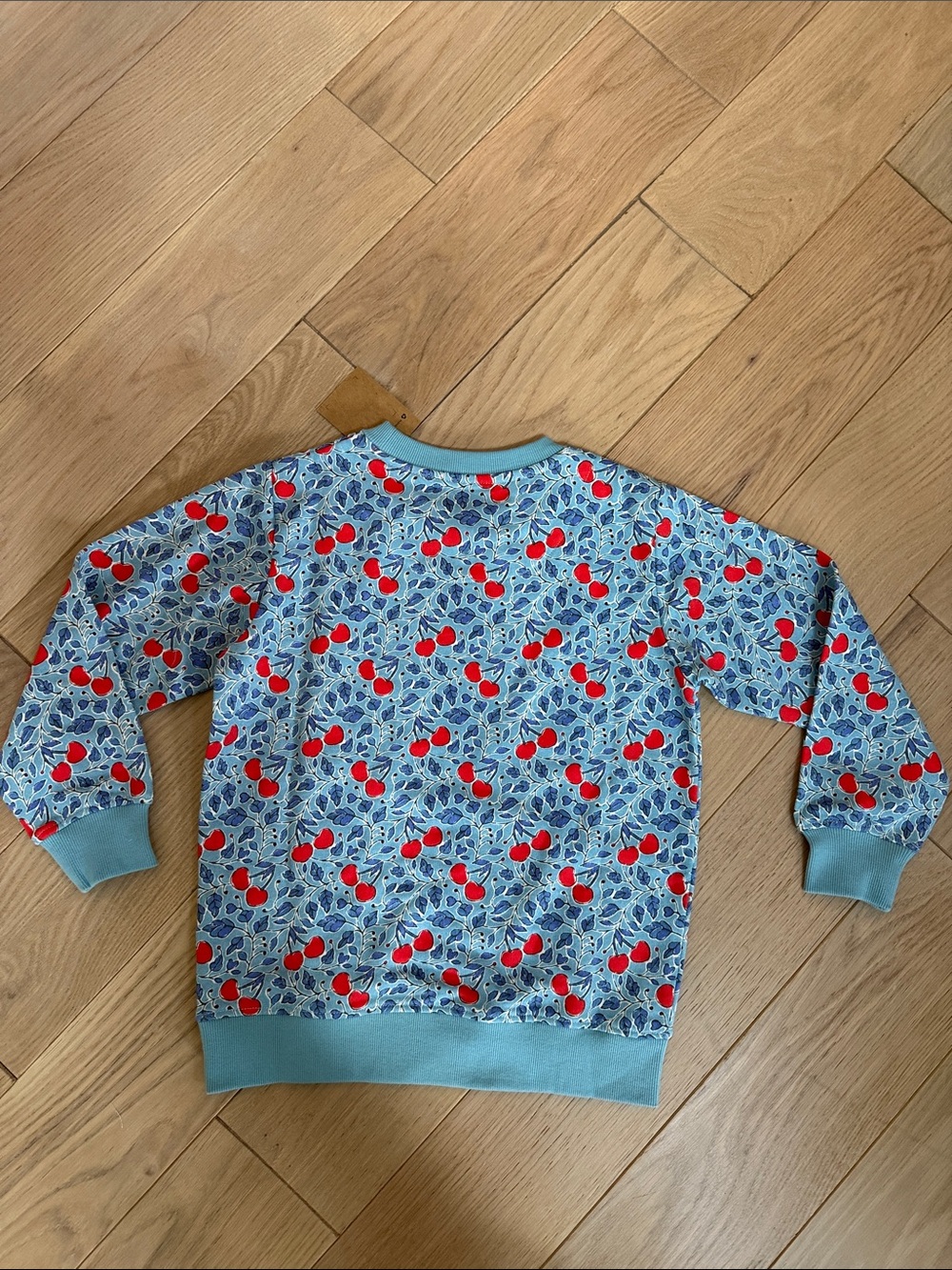 Mini Boden Light Blue Sweatshirt with Red Cherry Print - Picture 5 of 5